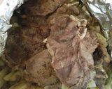 Foto del paso 4 de la receta: Bocado ancho con papas al horno 