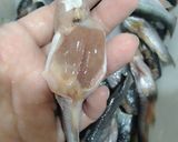Hình bước làm 1 của món Cá chốt kho lá quế