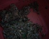 صورة لخطوة 2 من وصفة كرومبيط محشي