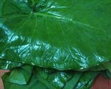 पात्रा (Patra recipe in Hindi) रेसिपी चरण 1 फोटो
