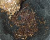 A picture of step 4 of Mughlai badami chicken masala boti.