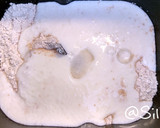 Foto del paso 5 de la receta: 25.🍞Pan semiintegral de leche y yogur (panificadora)