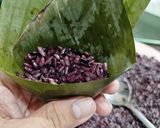 Foto langkah ke 6 dari resep Lupis Ketan Hitam.