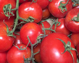 Foto del paso 9 de la receta: Salsa de Tomate casera