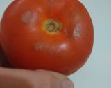 Foto del paso 4 de la receta: Salsa con lo que hay !