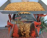 Foto del paso 2 de la receta: Pinole natural, como hacerlo