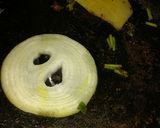 Foto del paso 2 de la receta: Sanguche vegano de seitán