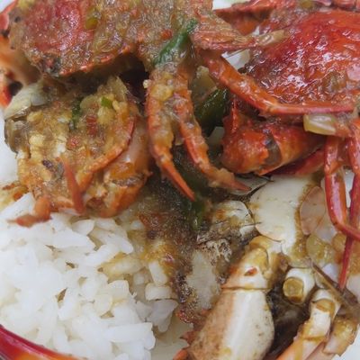 Langkah 6