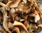 Foto del paso 2 de la receta: Entrante de setas con ajos, aove y sal