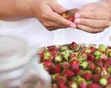 Hình bước làm 3 của món SI-RÔ ATISO ĐỎ | HOA LẠC THẦN