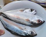 Foto langkah ke 1 dari resep Tim Ikan Kembung.