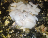 Foto del paso 5 de la receta: Paella de bogavante🦞