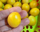 Hình bước làm 2 của món Gà sốt trái mơ