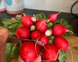 A picture of step 1 of How to carve flower radish.