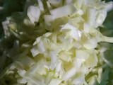 Tortilla Repollo blanco