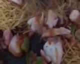 Foto del paso 10 de la receta: Fideuà de potón, gambones, ajos tiernos y dátiles medjol