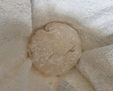 Foto del paso 6 de la receta: Pan casero