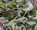 அரைக்கீரை மசியல் ரெசிபி ஸ்டேப் 1 புகைப்படம்