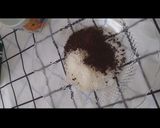 Foto langkah ke 1 dari resep Dalgona Coffee.
