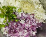 A picture of step 1 of Cabbage Manchurian.