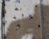 A picture of step 3 of Mango, chocolate, strawberry trifle.