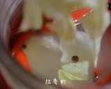 酸爽帶勁 不矯氣的四川泡菜 (生水版)的食譜步驟12照片