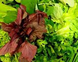 Hình bước làm 5 của món Bánh xèo nam bộ