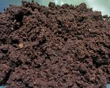Foto del passaggio 3 della ricetta PIGNE AL CIOCCOLATO E CEREALI 🌲