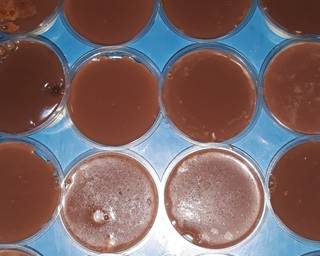 Puding cendol susu milo - Step 6