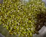 A picture of step 1 of Sprouted moong cutlets.