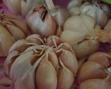 Foto langkah ke 1 dari resep Garlic oil.