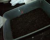 Foto langkah ke 1 dari resep Dessert Box Choco Oreo Ekonomis.