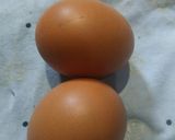 Foto langkah ke 1 dari resep Martabak telor tahu_.