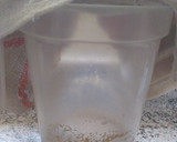 Foto del paso 1 de la receta: Pan Batido Integral