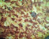 Foto del paso 4 de la receta: Pollopizza