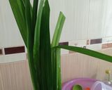 Foto langkah ke 2 dari resep Ayam Goreng Pandan Ala Thailand.