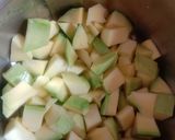 મુરબ્બો (Murabba Recipe In Gujarati) રેસીપી સ્ટેપ1ફોટો