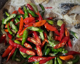 Foto langkah ke 3 dari resep Pindang Ikan Tongkol Masak Santan.