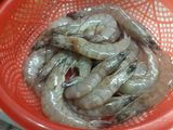 Mỳ Ý tôm