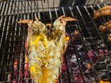 กุ้งมังกรอบชีส