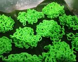 Foto langkah ke 6 dari resep Petulo Pandan Mie.