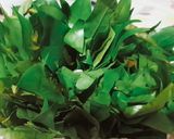 รูปขั้นตอนการทำที่ 2 ของ ใบเหลียงผัดไข่ ง่ายๆ