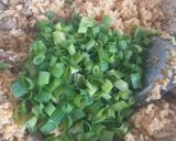 Foto langkah ke 6 dari resep Nasi Goreng Spesial Ampela.