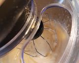 Habos túrós szelet recept fázis 2 fotója
