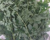 A picture of step 1 of Moringa icecream.