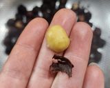 Foto del paso 1 de la receta: 🌰Pasta de avellanas 🌰Para rellenar bombones, tortas, alfajores.... 🌰 Nutella accidentado 🫣 Apto dbt