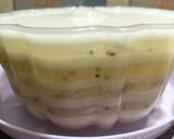 Foto langkah ke 5 dari resep Puding Kelapa (1235).