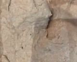 صورة لخطوة 2 من وصفة خبزة المله
