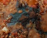 A picture of step 5 of My Spaghetti Bolognaise only without the spaghetti. 😆.