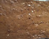 Foto del paso 6 de la receta: Brownie con nuez